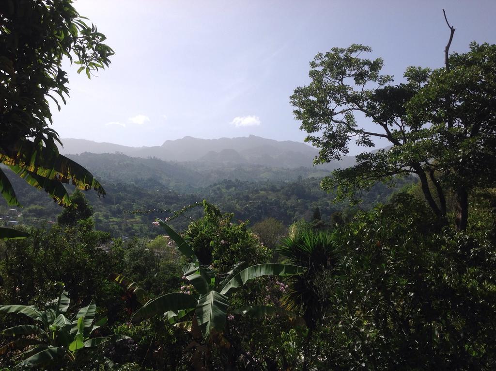 Aire Libre Descanso * San Francisco (Cundinamarca)
