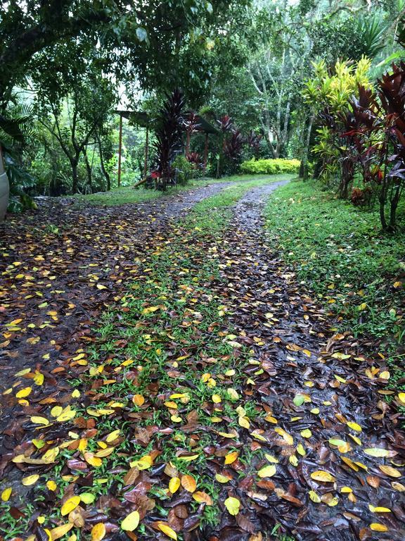 Aire Libre Descanso * San Francisco (Cundinamarca)